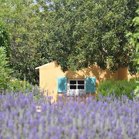 Authentic Yet Modern Villa And Cottage With Pool Loule