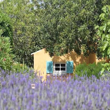 Elegant Loule Mansion With Pool Holiday home