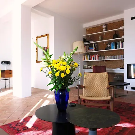 Elegant Mansion With Pool