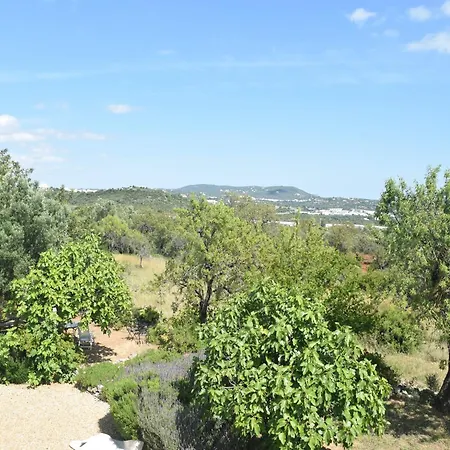 Elegant Loule Mansion With Pool *