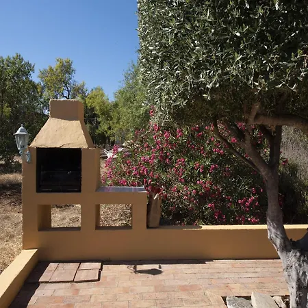 Elegant Mansion With Pool